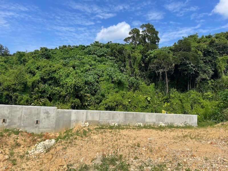 Vacant Land for Sale in Onna Village, Okinawa - Near Beach & Golf - Thumbnail 3