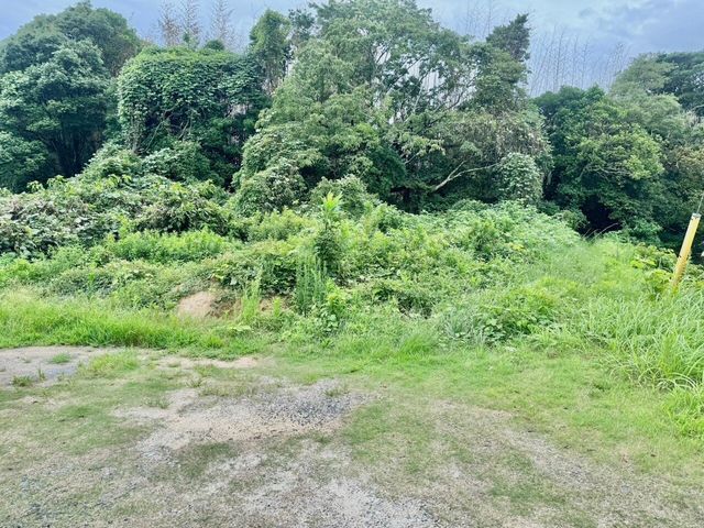 995.12 sqm Vacant Land for Sale in Higashikiwa, Ube City - Thumbnail 2