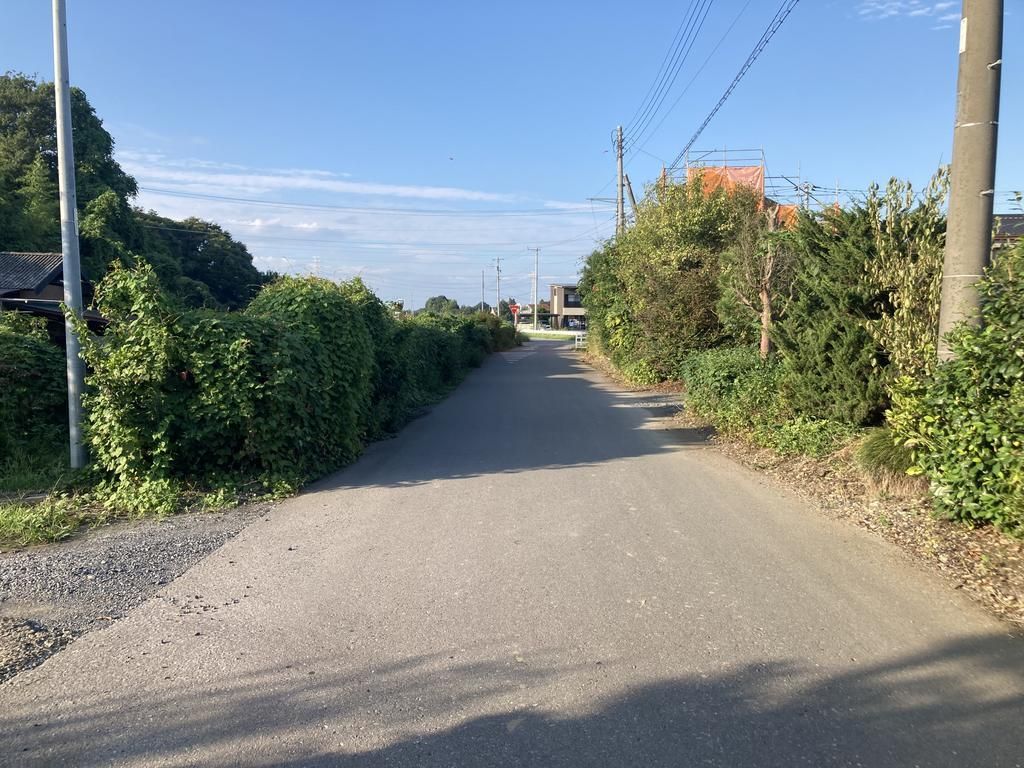 95.89 Tsubo Flat Land Plot for Sale in Kamitsukemachi, Tochigi - Thumbnail 4