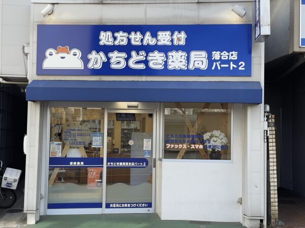 Land for Sale in Shinjuku, Tokyo - Open Selection Ochiai - Thumbnail 4