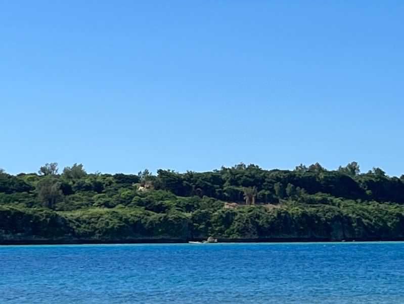 17,203 sqm Ocean View Development Land for Sale in Motobu, Okinawa - Thumbnail 3