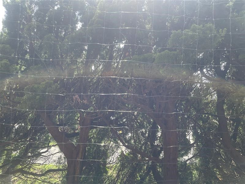 Panorama View Shirako 1DK Apartment for Sale in Chiba - Thumbnail 2