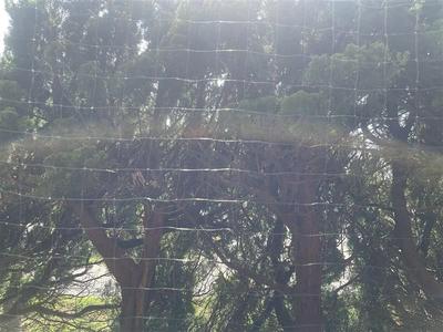 Panorama View Shirako 1DK Apartment for Sale in Chiba — Apartment, Shirako, Chiba