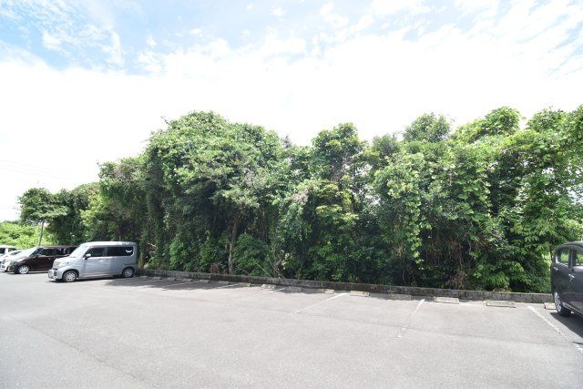 Forest Land for Sale in Kanoya, Kagoshima - 519 sqm Plot - Thumbnail 3