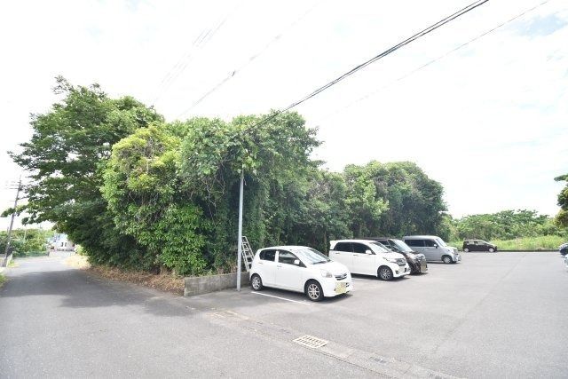 Forest Land for Sale in Kanoya, Kagoshima - 519 sqm Plot - Thumbnail 4