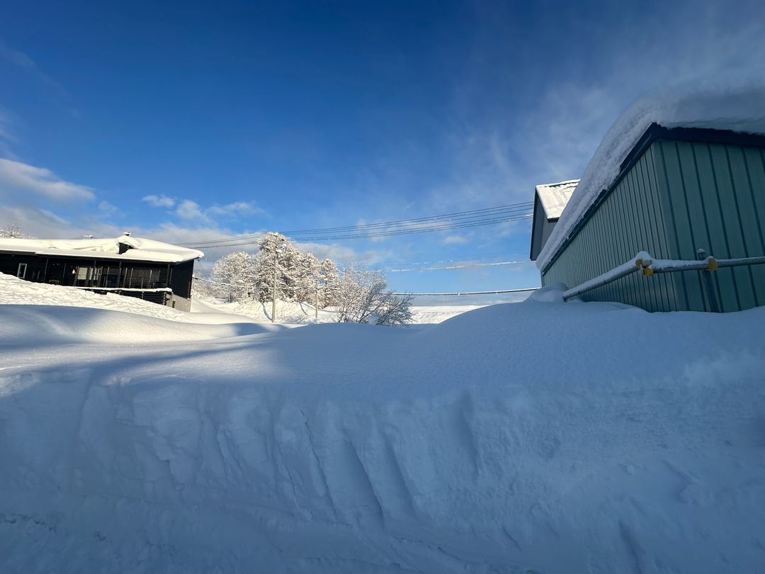 460sqm Residential Land for Sale in Asahi, Kutchan, Hokkaido - Thumbnail 2