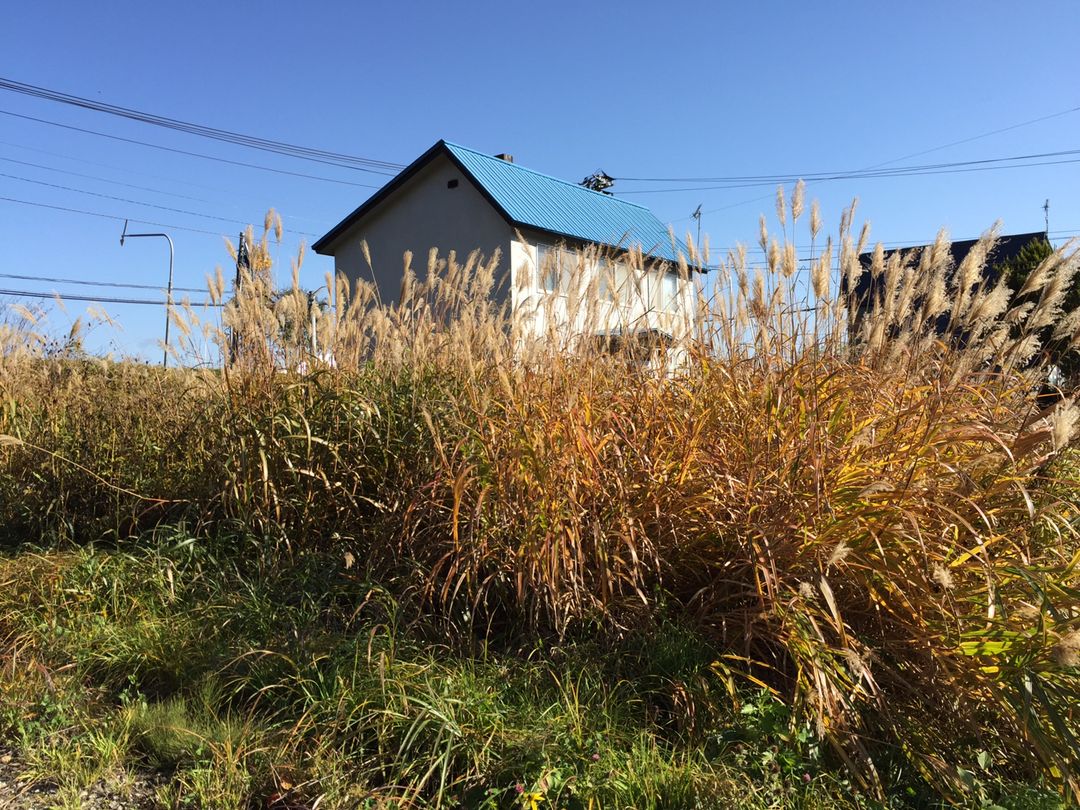 460sqm Residential Land for Sale in Asahi, Kutchan, Hokkaido - Thumbnail 3