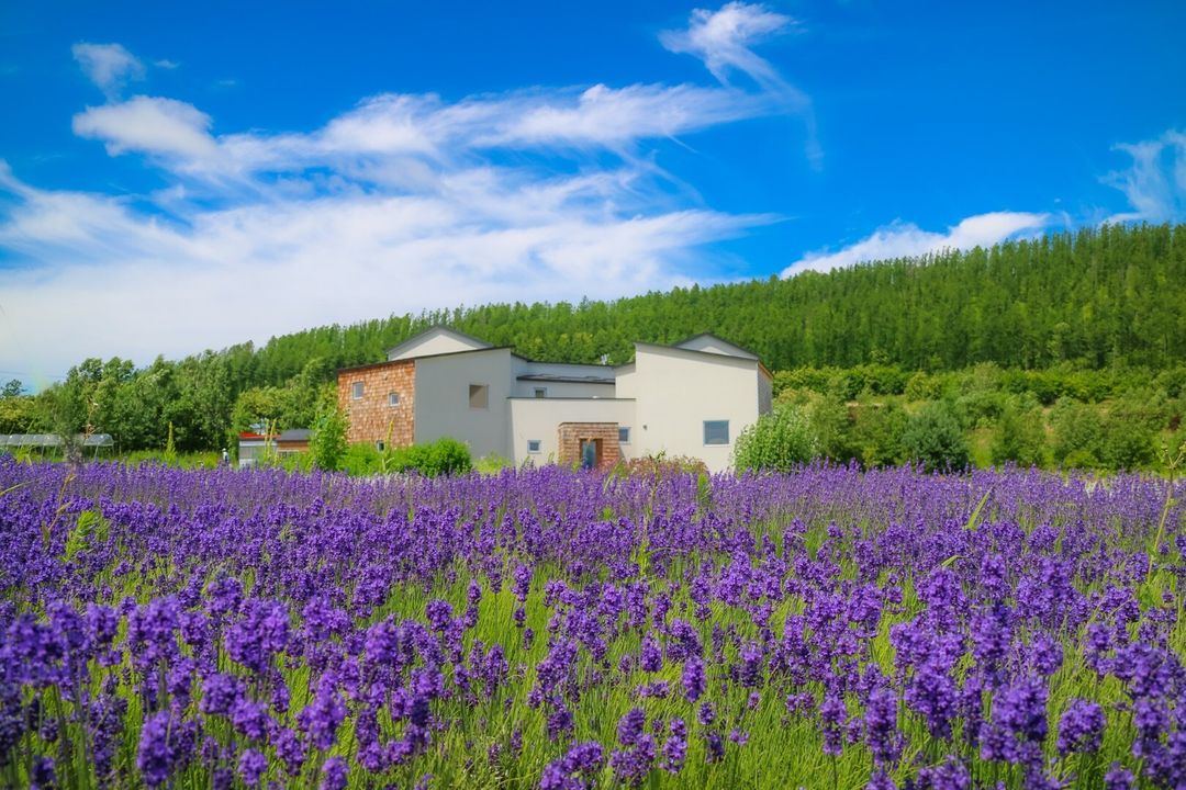 Boutique Pension for Sale in Nakafurano, Hokkaido - Thumbnail 3