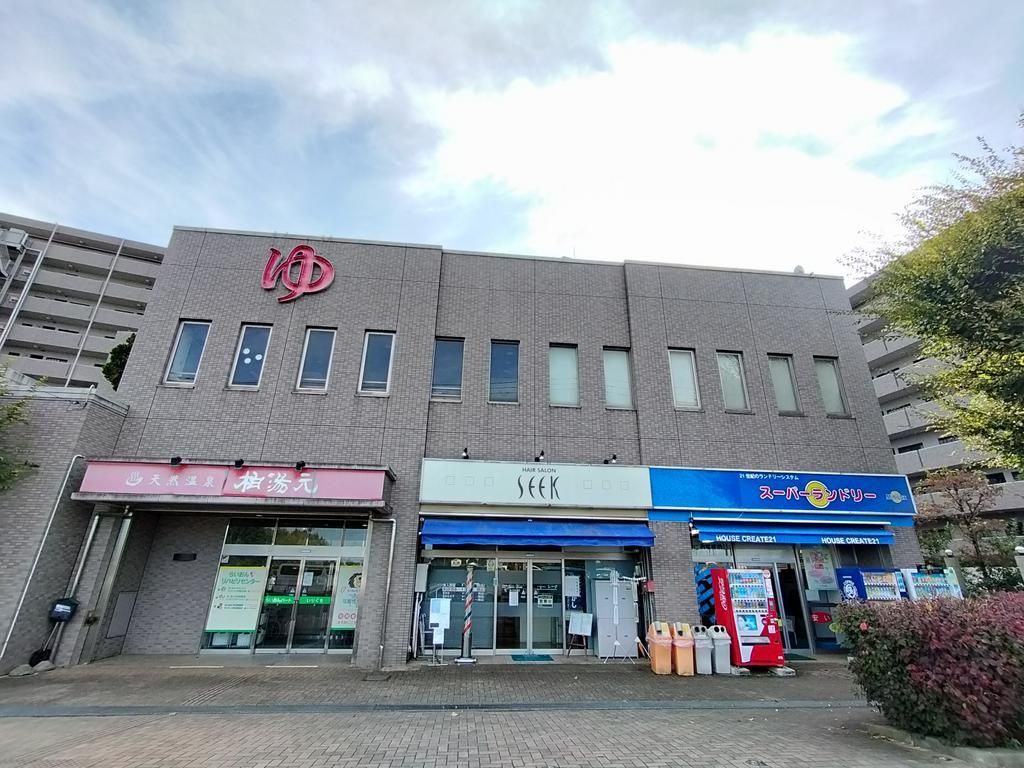 Belldumur Kashiwa Yumoto Onsen 3LDK with Private Garden & Hot Spring - Thumbnail 4