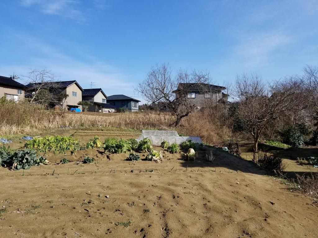 931 sqm Vacant Land for Sale in Kahoku City, Ishikawa - Thumbnail 2