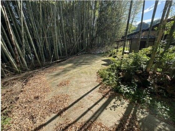 4DK Traditional House in Kita-ku, Kumamoto City - Thumbnail 4