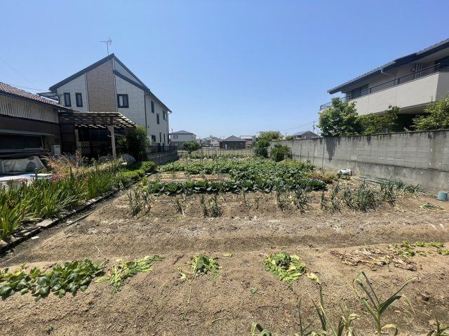 Land for Sale in Tadotsu, Kagawa - 339 sqm Plot Ready for Home or Garden - Thumbnail 2