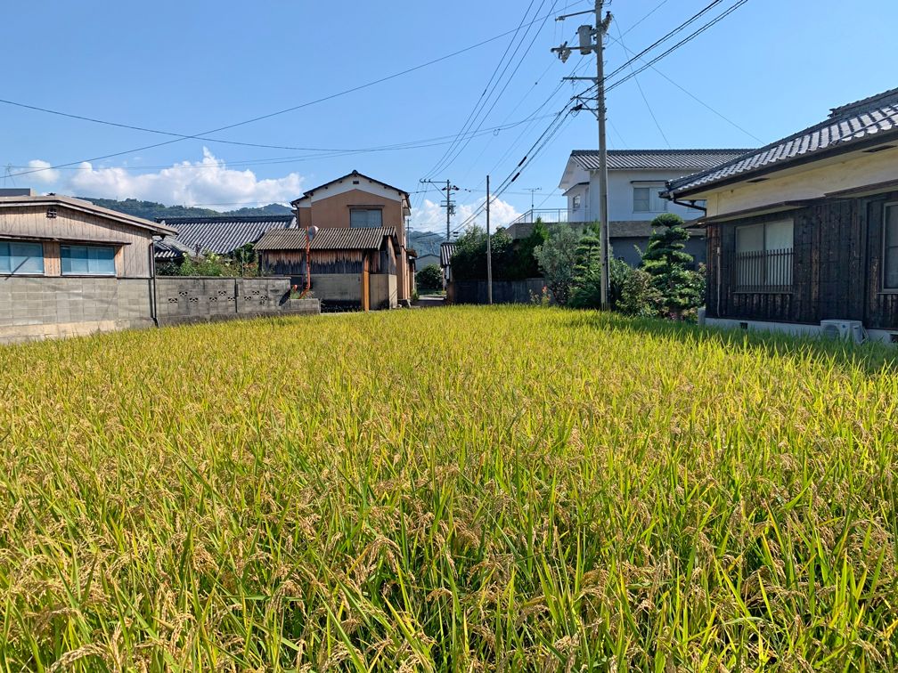 305 sqm Flat Agricultural Land for Sale in Iyo City, Ehime - Thumbnail 2
