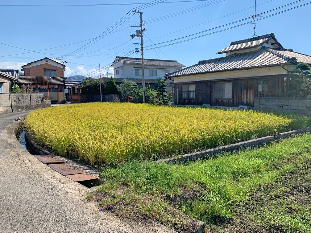 305 sqm Flat Agricultural Land for Sale in Iyo City, Ehime - Thumbnail 4