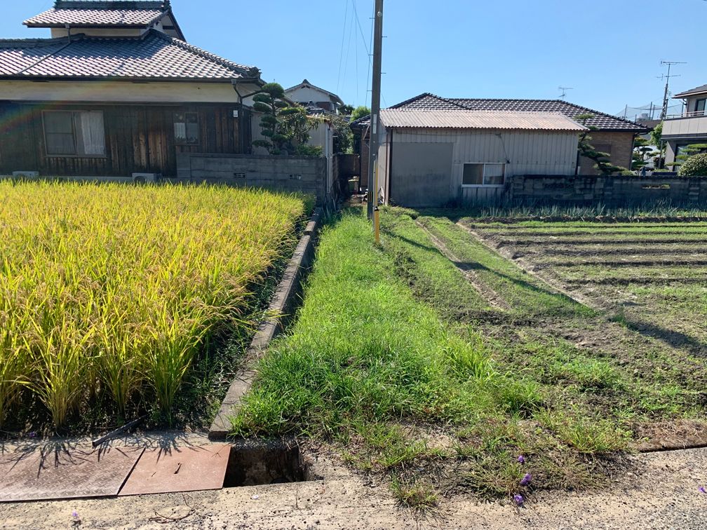 305 sqm Flat Agricultural Land for Sale in Iyo City, Ehime - Thumbnail 3