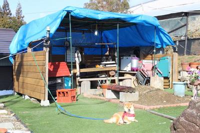 Traditional Japanese House with Farmland in Gifu — Image 3, Yaotsu, Gifu