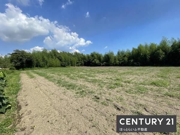 Large 1994 sqm Land Plot for Sale in Miyakonojo, Miyazaki - Thumbnail 4