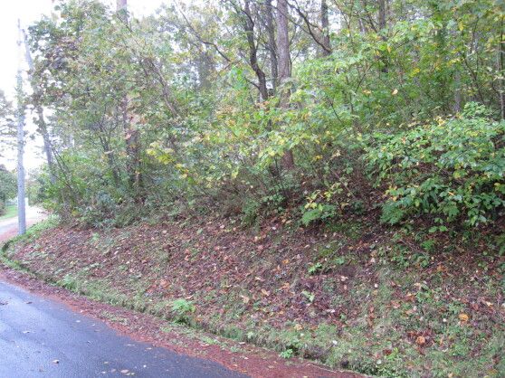 Vacant Land for Sale in Iizuna, Nagano - 999 sqm Plot - Thumbnail 2