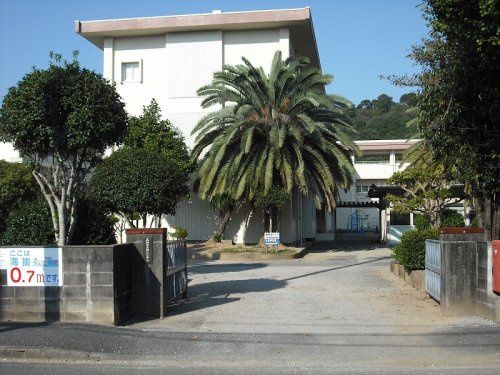 Land for Sale in Hyakugoku-cho, Kochi City - 162.7 sqm - Thumbnail 3