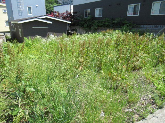 Land for Sale in Otaru, Hokkaido - 186.18 sqm Plot - Thumbnail 2