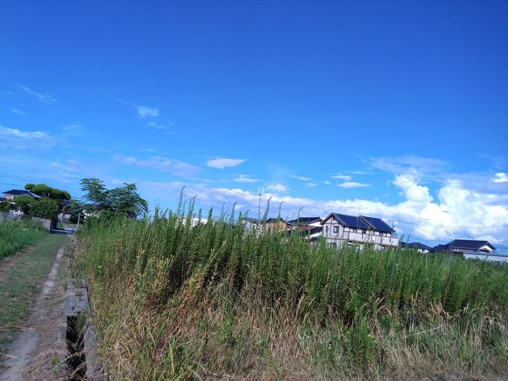 241.69 Tsubo Land Plot in Hikana-cho, Yonago, Tottori - Thumbnail 4