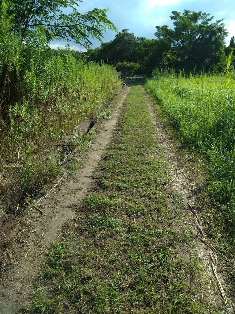 241.69 Tsubo Land Plot in Hikana-cho, Yonago, Tottori - Thumbnail 3