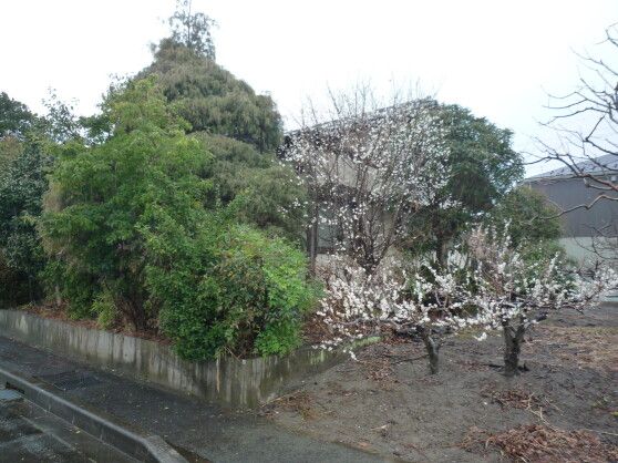 3LDK Wooden House for Sale in Chuo City, Yamanashi - Thumbnail 4