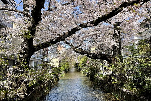 Renovated Kyoto Machiya Guest House for Sale Near Kiyomizu-Gojo - Thumbnail 3
