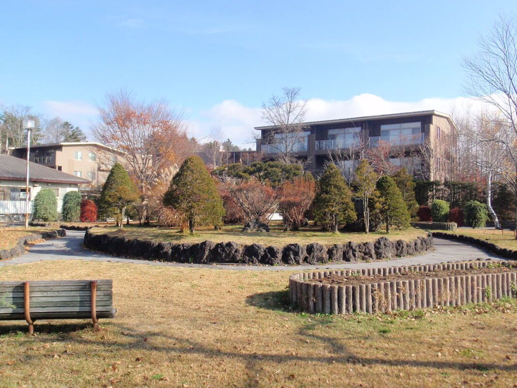 Building-Conditioned Land for Sale in Karuizawa, Nagano - Thumbnail 2