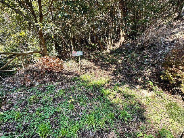 494 sqm Land for Sale in Kirishima Okuwa, Kagoshima Prefecture - Thumbnail 3