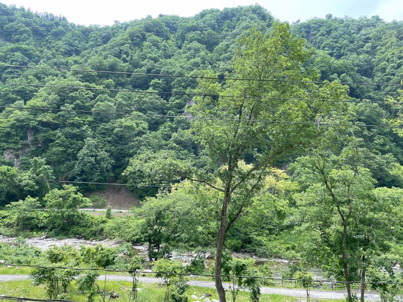 2K Apartment in Yuzawa Foret II with Onsen Access - Thumbnail 3