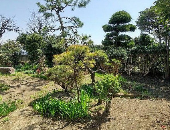 6LDK House in Kumamoto Kita Ward with 386m² Land - Thumbnail 2