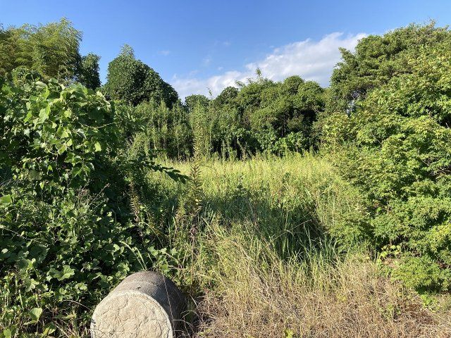 813 sqm Land for Sale in Yamanokuchi-cho, Satsumasendai - Thumbnail 2
