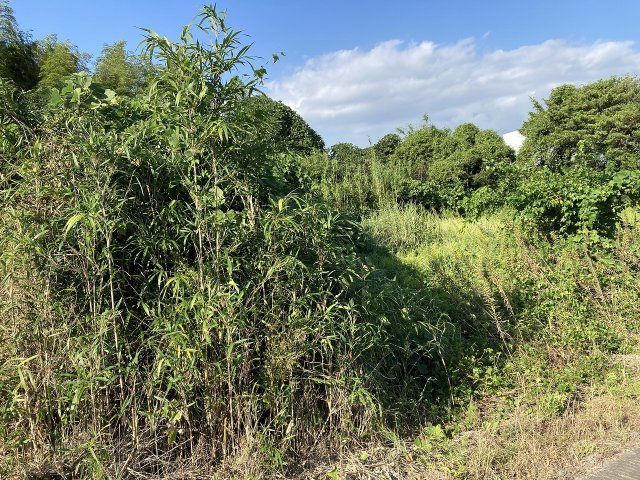 813 sqm Land for Sale in Yamanokuchi-cho, Satsumasendai - Thumbnail 4