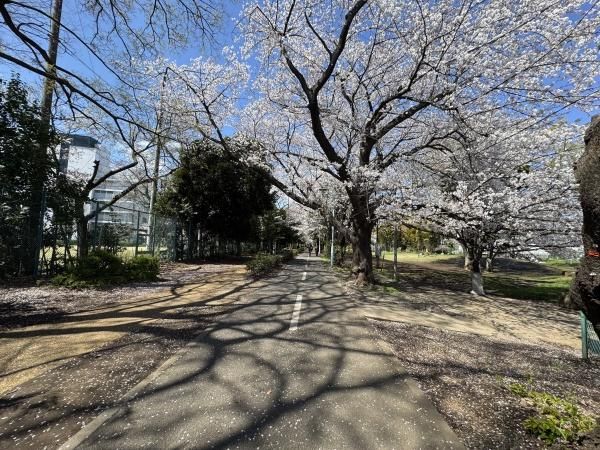 3LDK Apartment for Sale in Kodaira, Tokyo - Exio Hanakoganei - Thumbnail 4