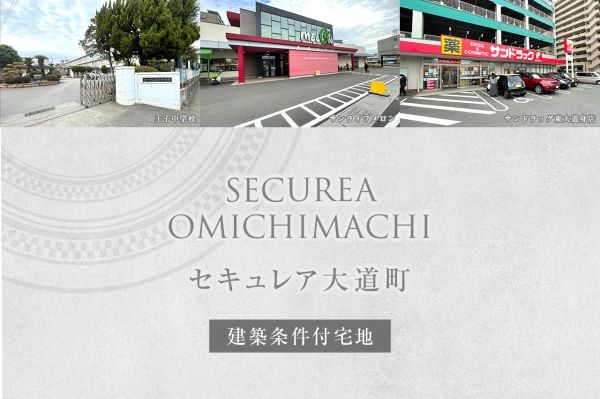 Build-Condition Land Plot for Sale in Oita City, Oita - Thumbnail 4