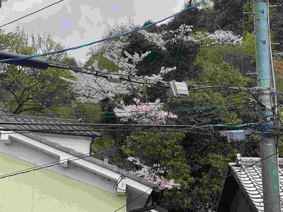 6LDK House for Sale in Kyoto's Higashiyama Ward — Image 1, Higashiyama, Kyoto