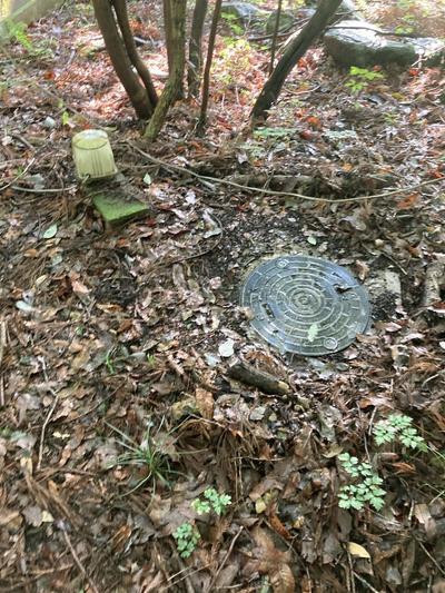 [Homes] Mountain forest with mountain hut in Tobikomacho, Sano City | — Image 2, Sano, Tochigi