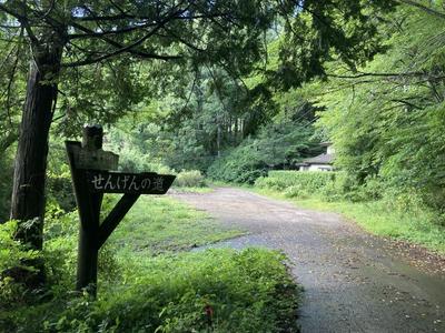 [Homes] Mountain forest with mountain hut in Tobikomacho, Sano City | — Image 1, Sano, Tochigi