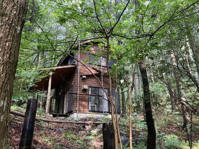 [Homes] Mountain forest with mountain hut in Tobikomacho, Sano City | — Image 1, Sano, Tochigi