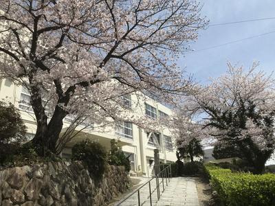Renovated 4LDK House in Ube City, Yamaguchi Prefecture — Image 2, Ube, Yamaguchi