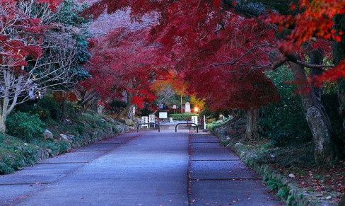 Land for Sale in Ichijoji, Sakyo Ward, Kyoto - 904.73 sqm - Thumbnail 4