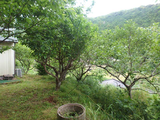1LDK House near Inazushi Station, Shimoda City - Thumbnail 4