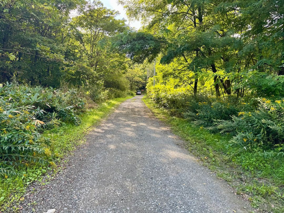 22,626 sqm Development Land in Furano, Hokkaido - Thumbnail 3