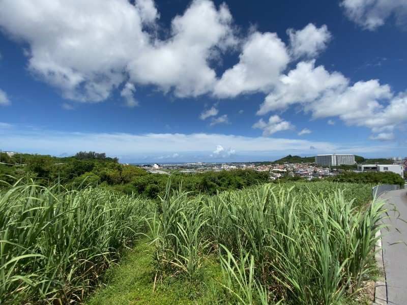 444 Tsubo Land for Sale in Onaga, Tomigusuku City, Okinawa - Thumbnail 3