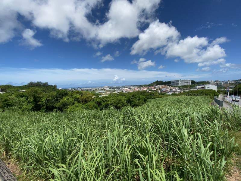 444 Tsubo Land for Sale in Onaga, Tomigusuku City, Okinawa - Thumbnail 4