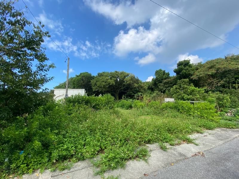 Vacant Land for Sale in Motobu, Okinawa - 444.83 sqm Plot - Thumbnail 3