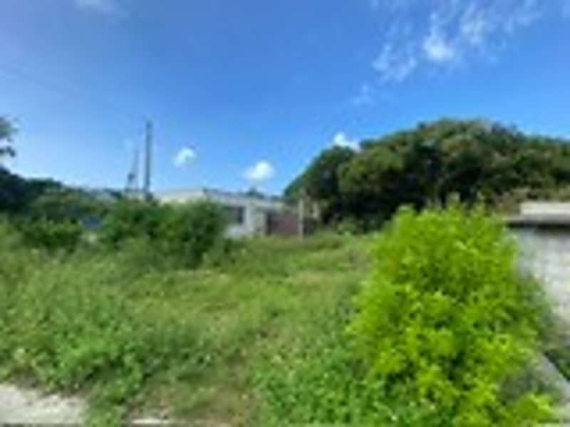 Vacant Land for Sale in Motobu, Okinawa - 444.83 sqm Plot - Image 1
