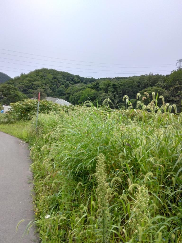 Large Flat Land for Sale in Niki Town, Hokkaido - 6,602 sqm - Thumbnail 2