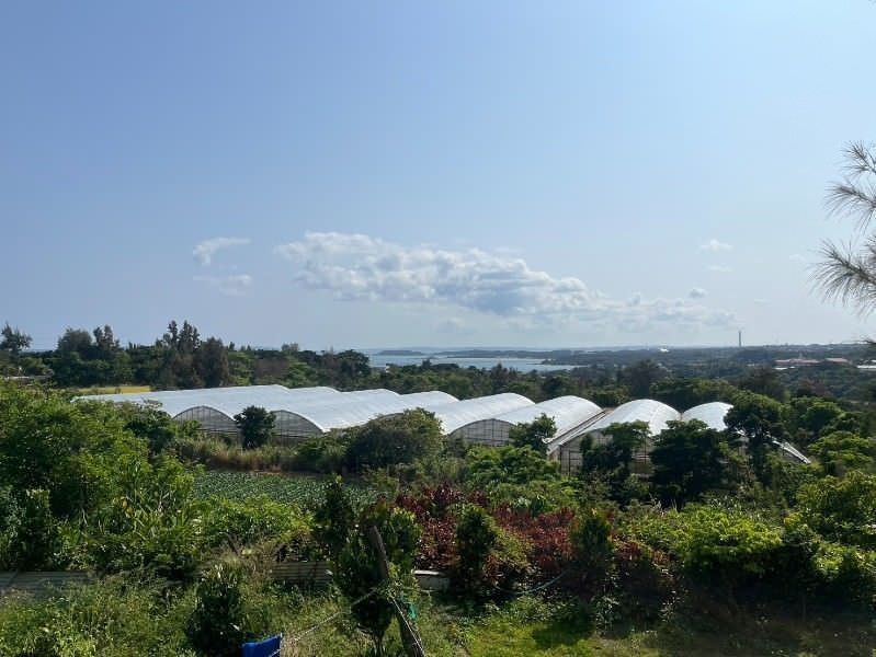 Land for Sale in Ginowan Village, Okinawa - 330.6 sqm Plot - Thumbnail 2